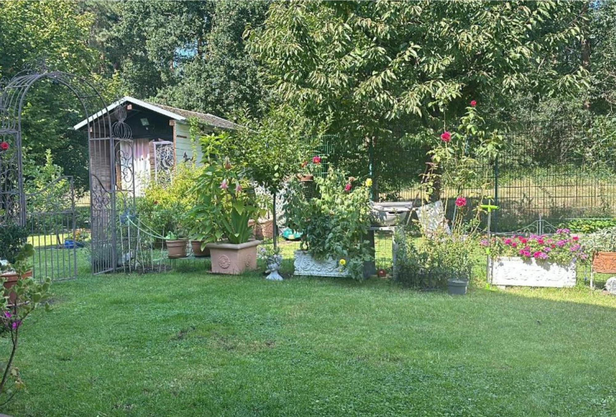Grosse Helle Wohnung Am Wald In Bad Saarow Nahe Gruenheide Und Berlin Souterrain Exteriör bild